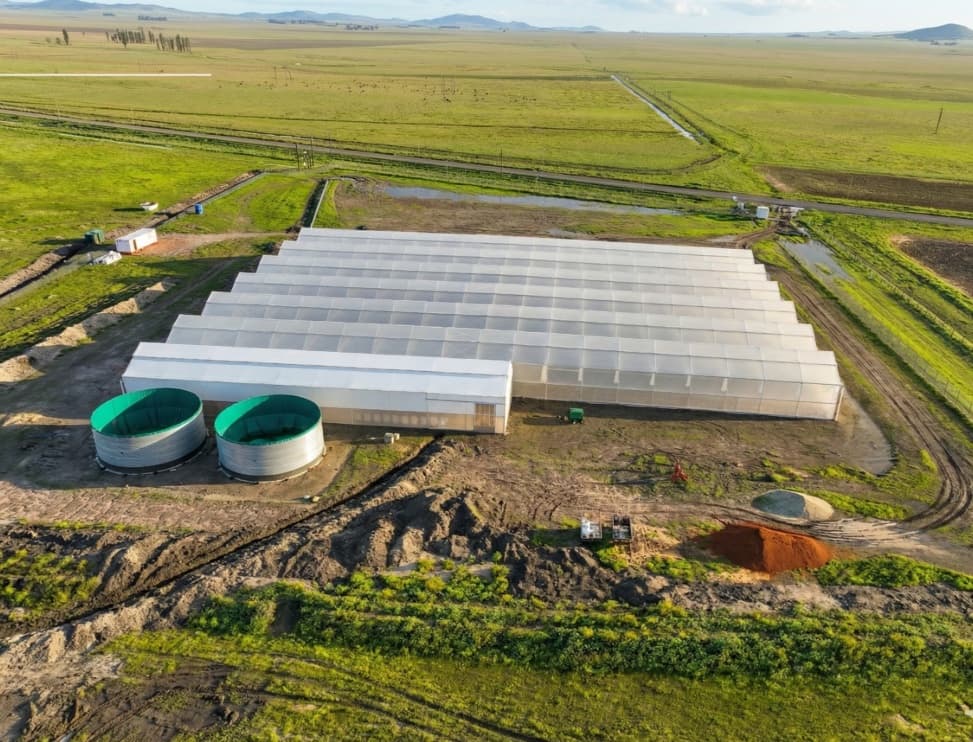 Aerial view of the Grootvlei Climate Smart Horticulture Centre: a large multi-bay greenhouse with two green water storage tanks on open grassland