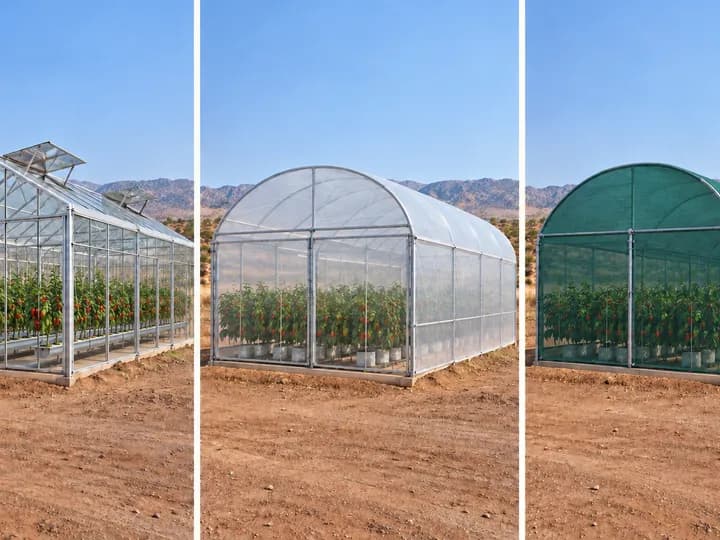 Side-by-side comparison of a Venlo glasshouse, rounded plastic tunnel and rounded shade-net house