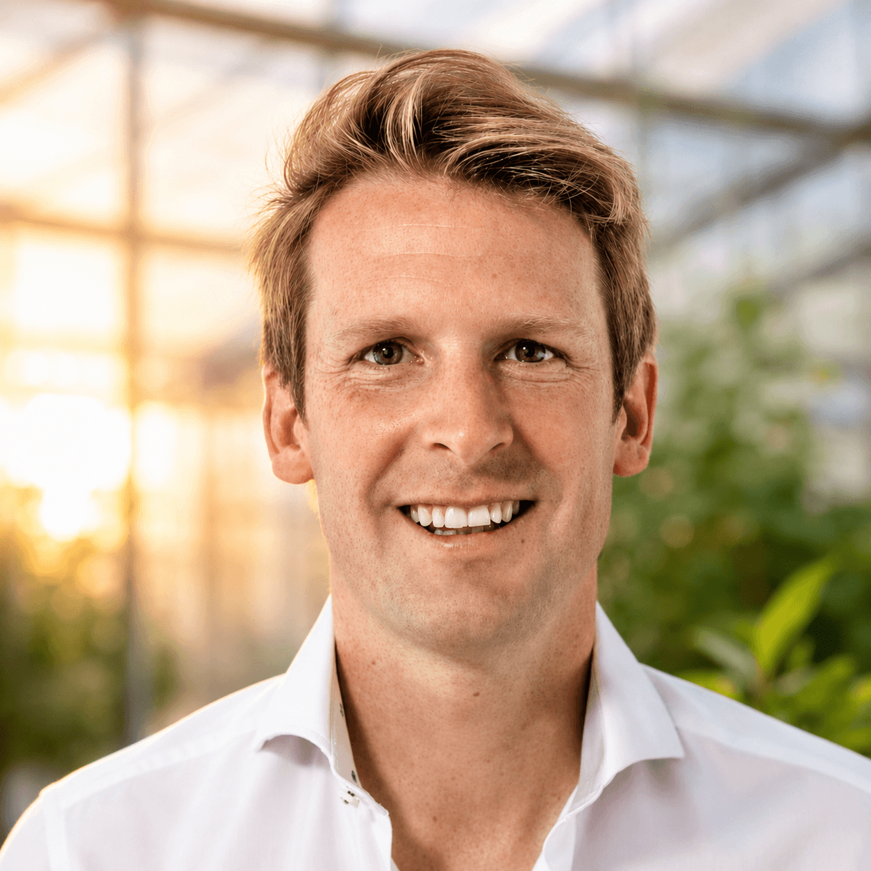 Arnout, CFO